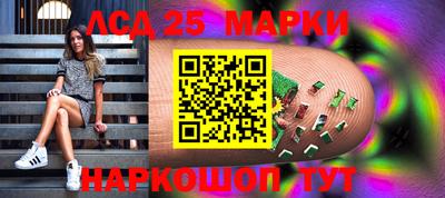 прущие грибы Новозыбков