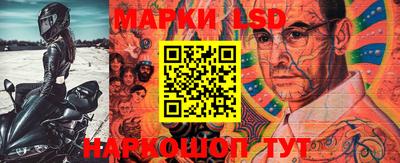PSILOCYBIN Новокубанск