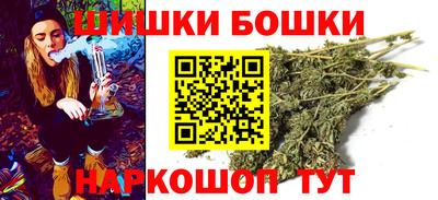 прущие грибы Новозыбков