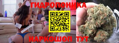 PSILOCYBIN Новокубанск