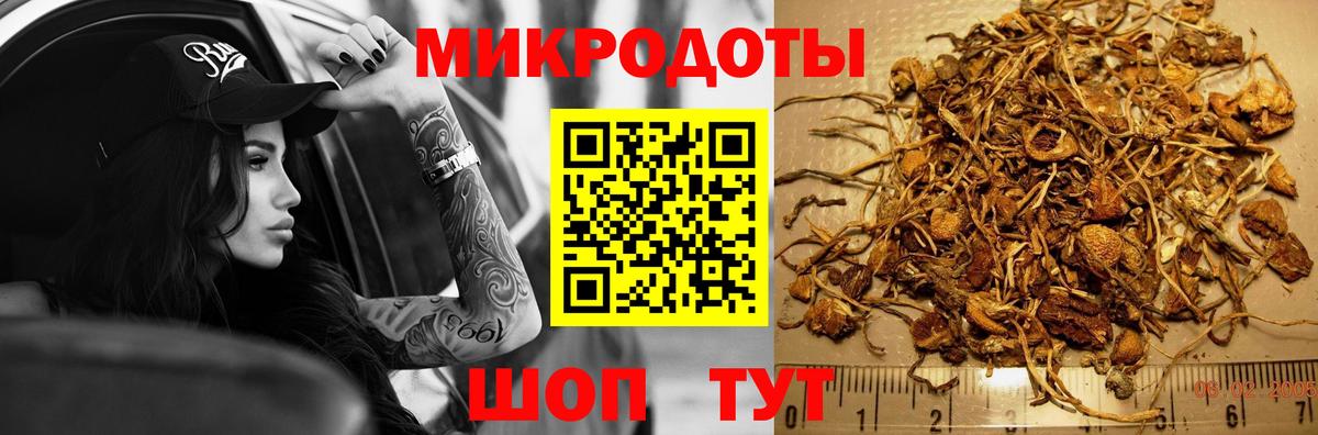 Псилоцибиновые грибы мицелий  Галлюциногенные грибы Psilocybe  Вход с VPN  Родники 